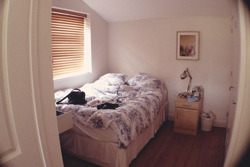 Shed's Comfy Bedroom