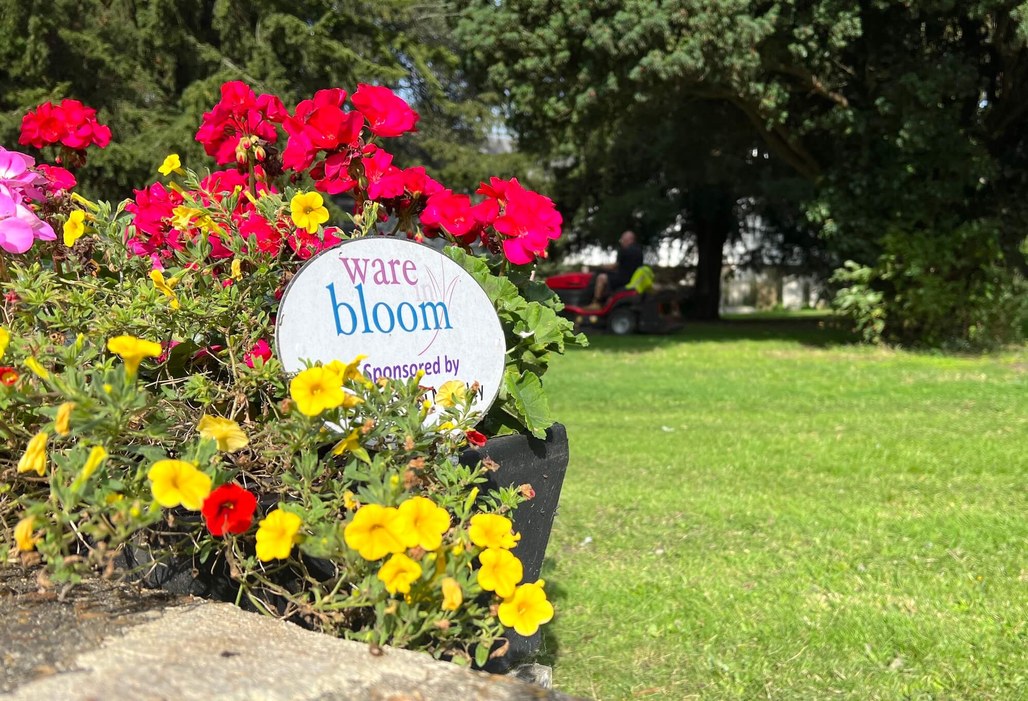 Ware in Bloom logo on a church flower box