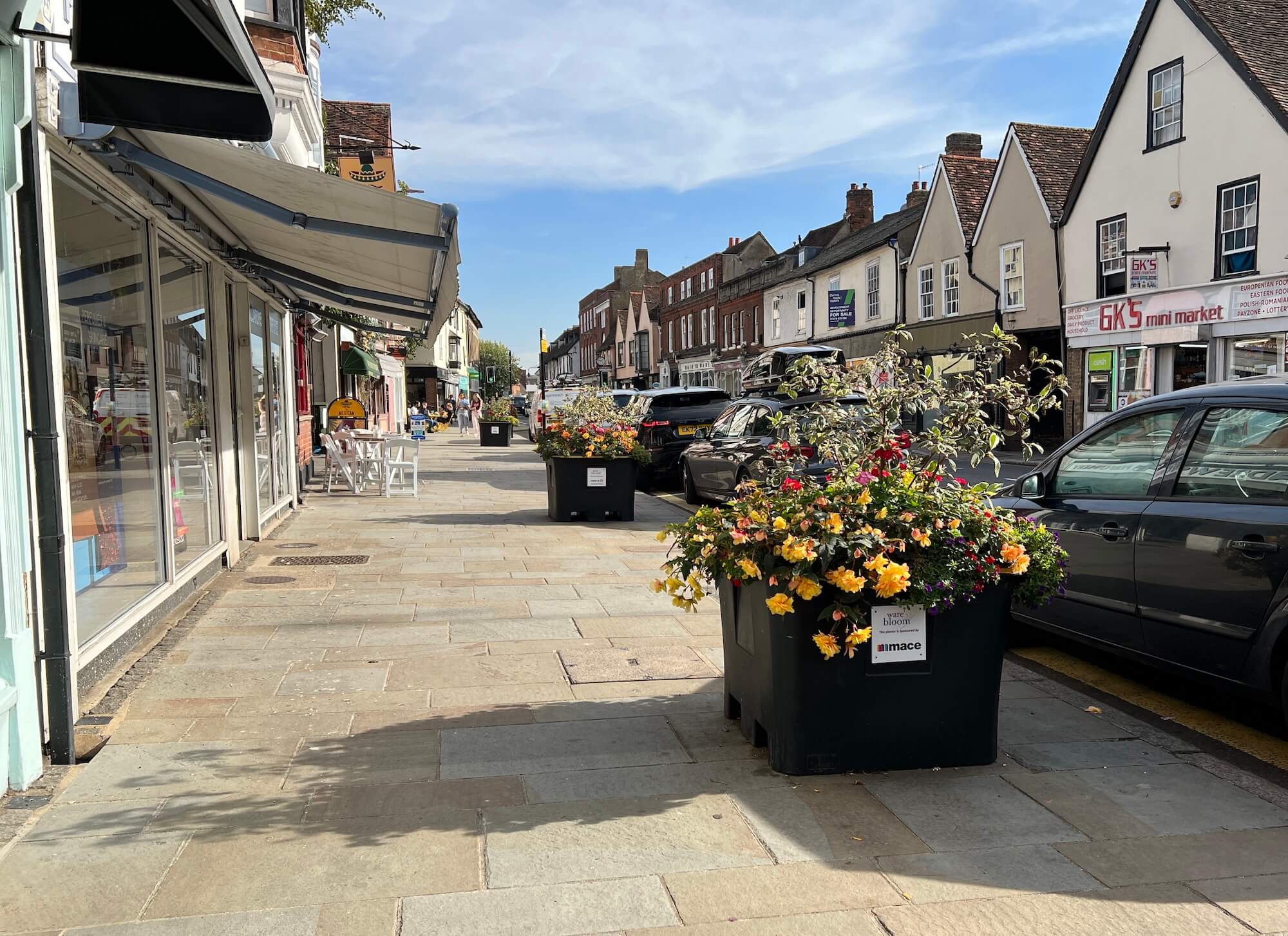 Ware in Bloom logos down the high street
