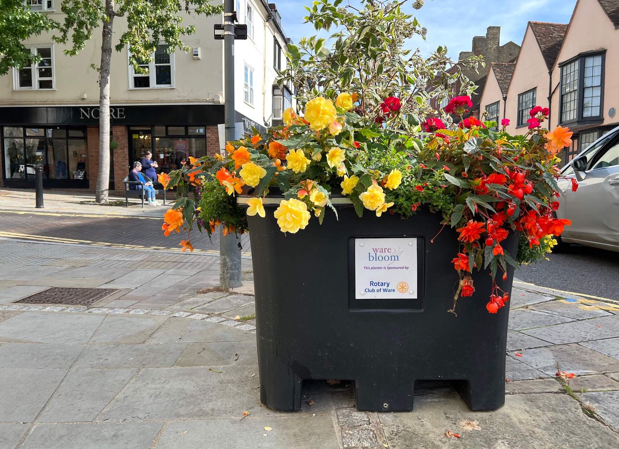 Ware in Bloom logo in town